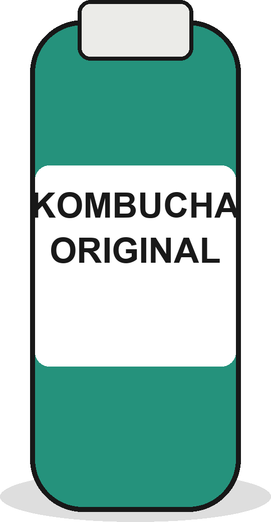 Kombucha original can