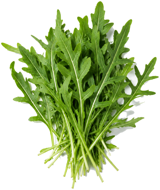 Arugula