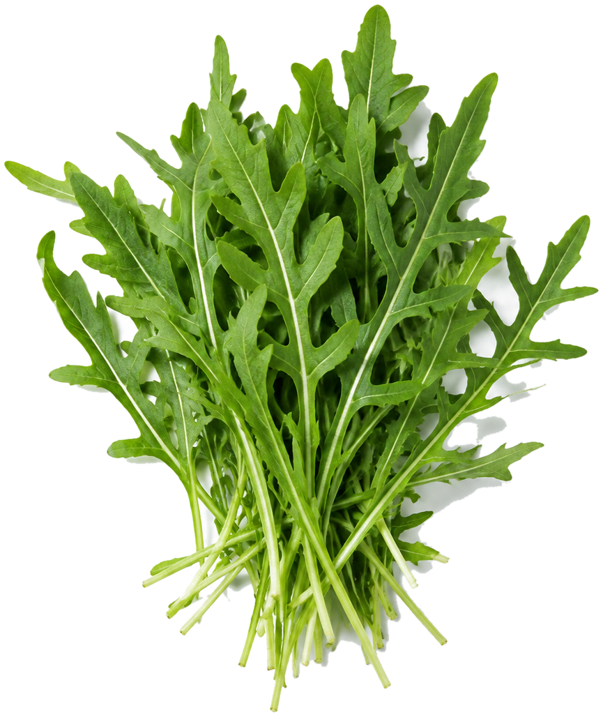 Arugula can