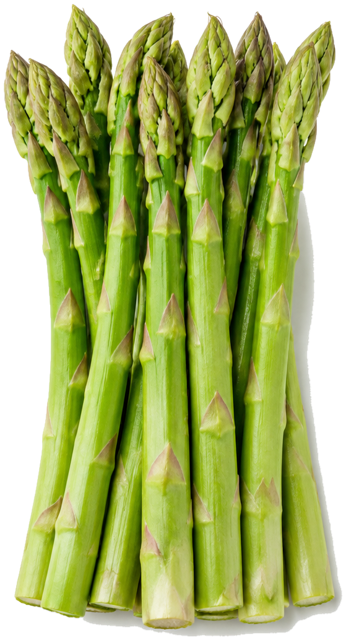 Asparagus