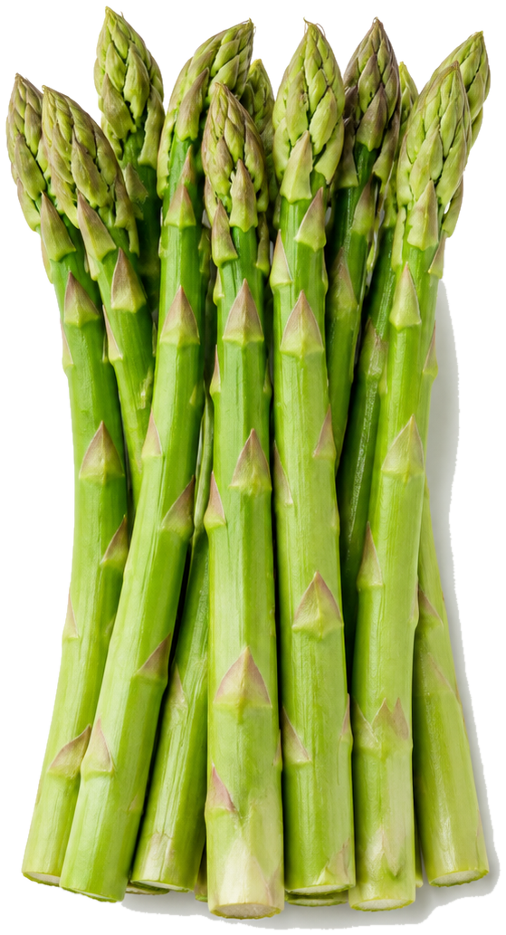 Asparagus can