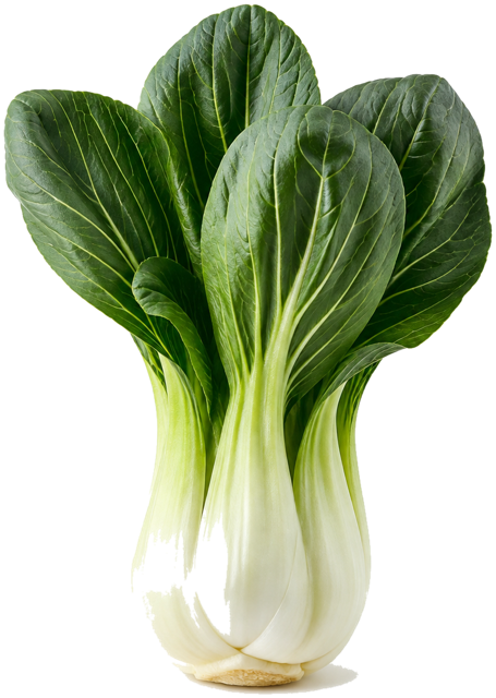 Bok choy