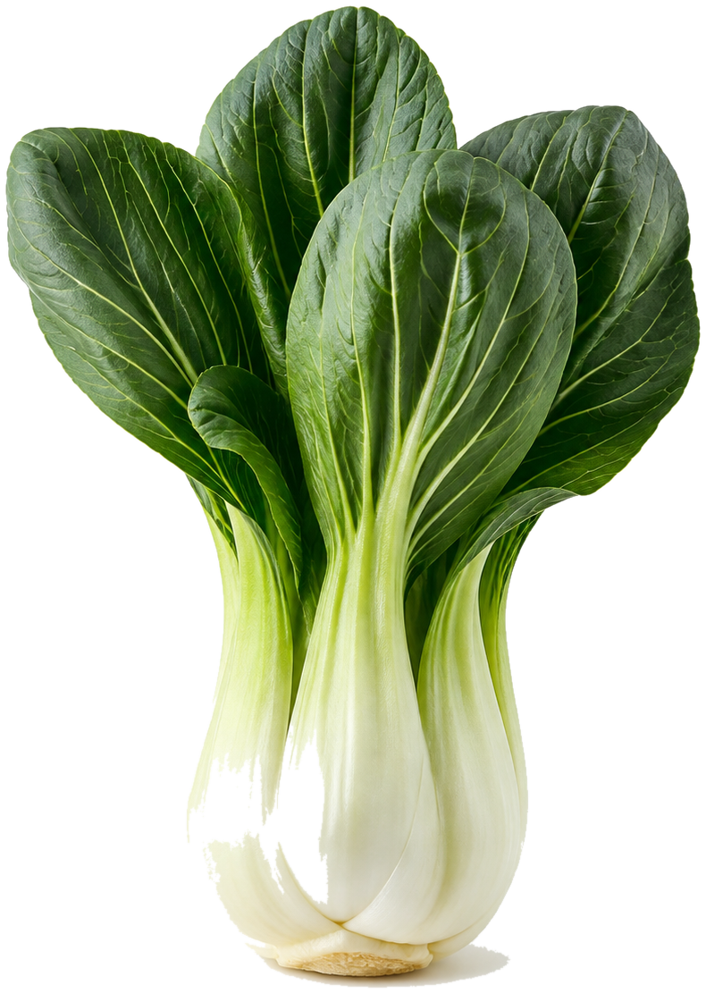 Bok choy can
