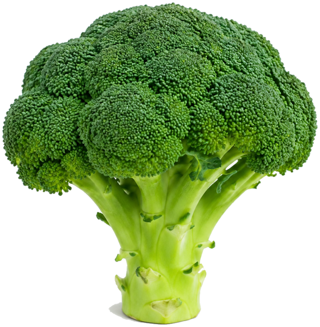 Broccoli