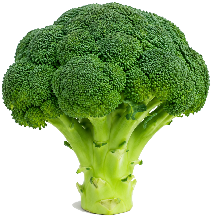 Broccoli can