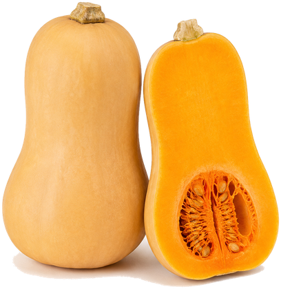 Butternut squash