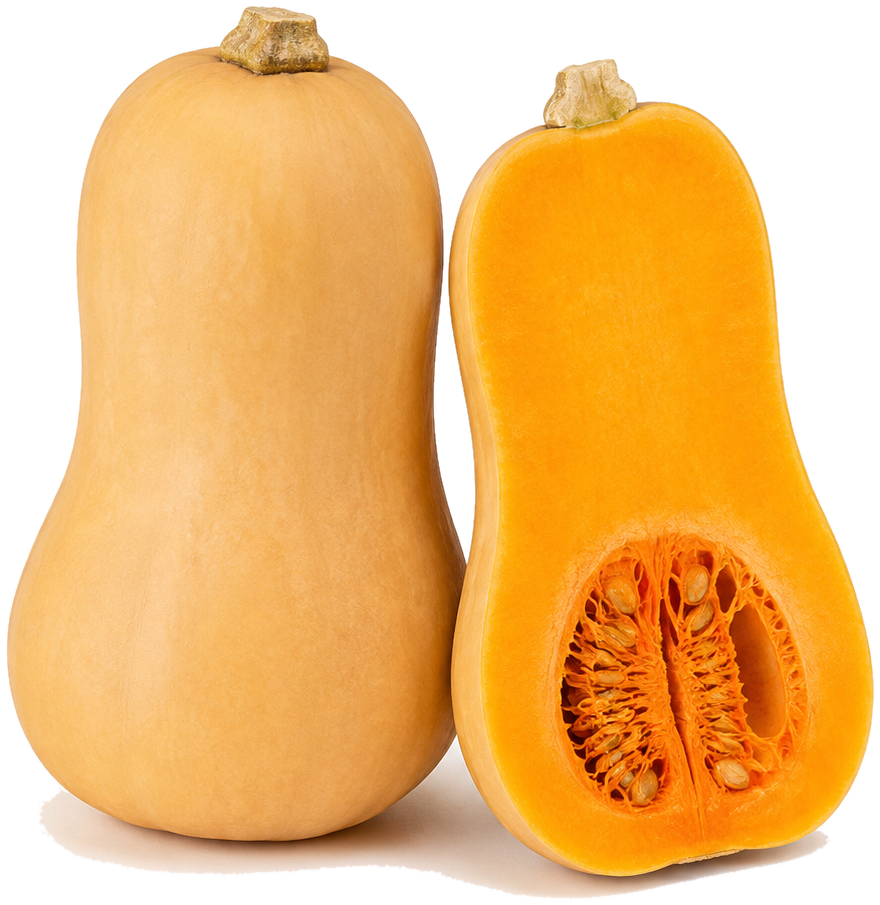 Butternut squash can
