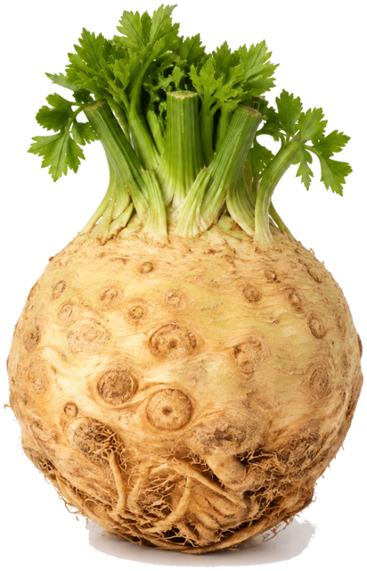 Celeriac