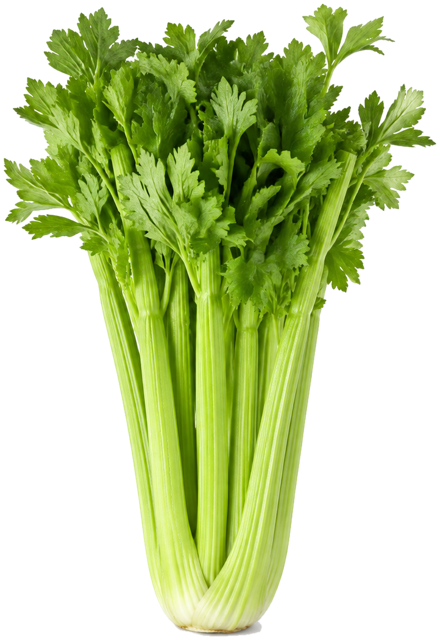 Celery