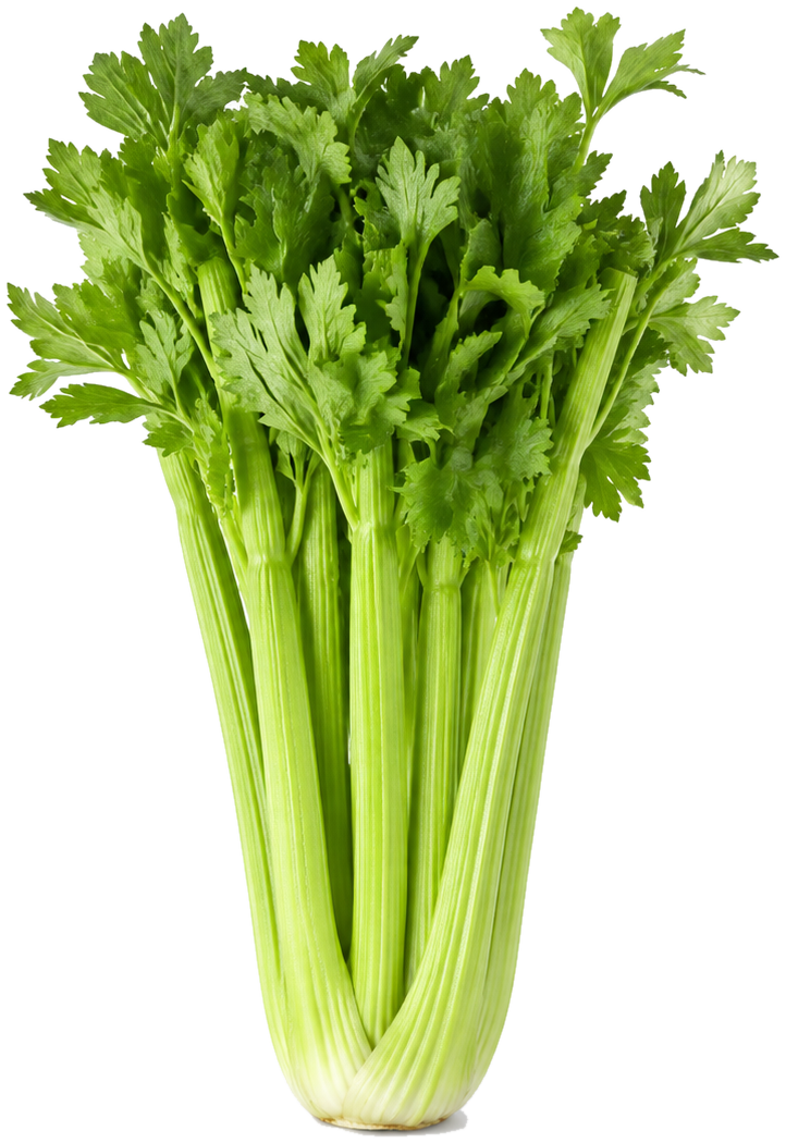 Celery can
