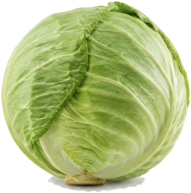 Green cabbage