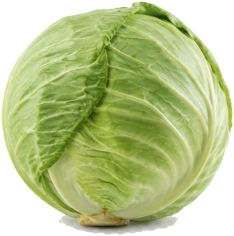 Green cabbage can