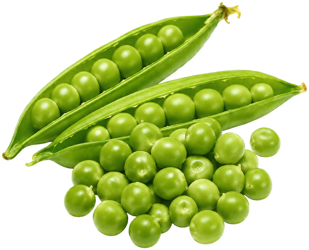 Green peas can