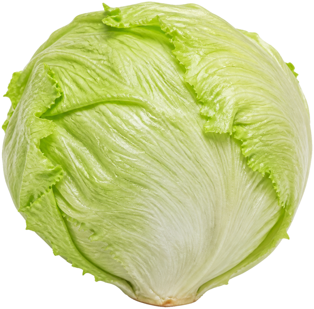 Iceberg lettuce