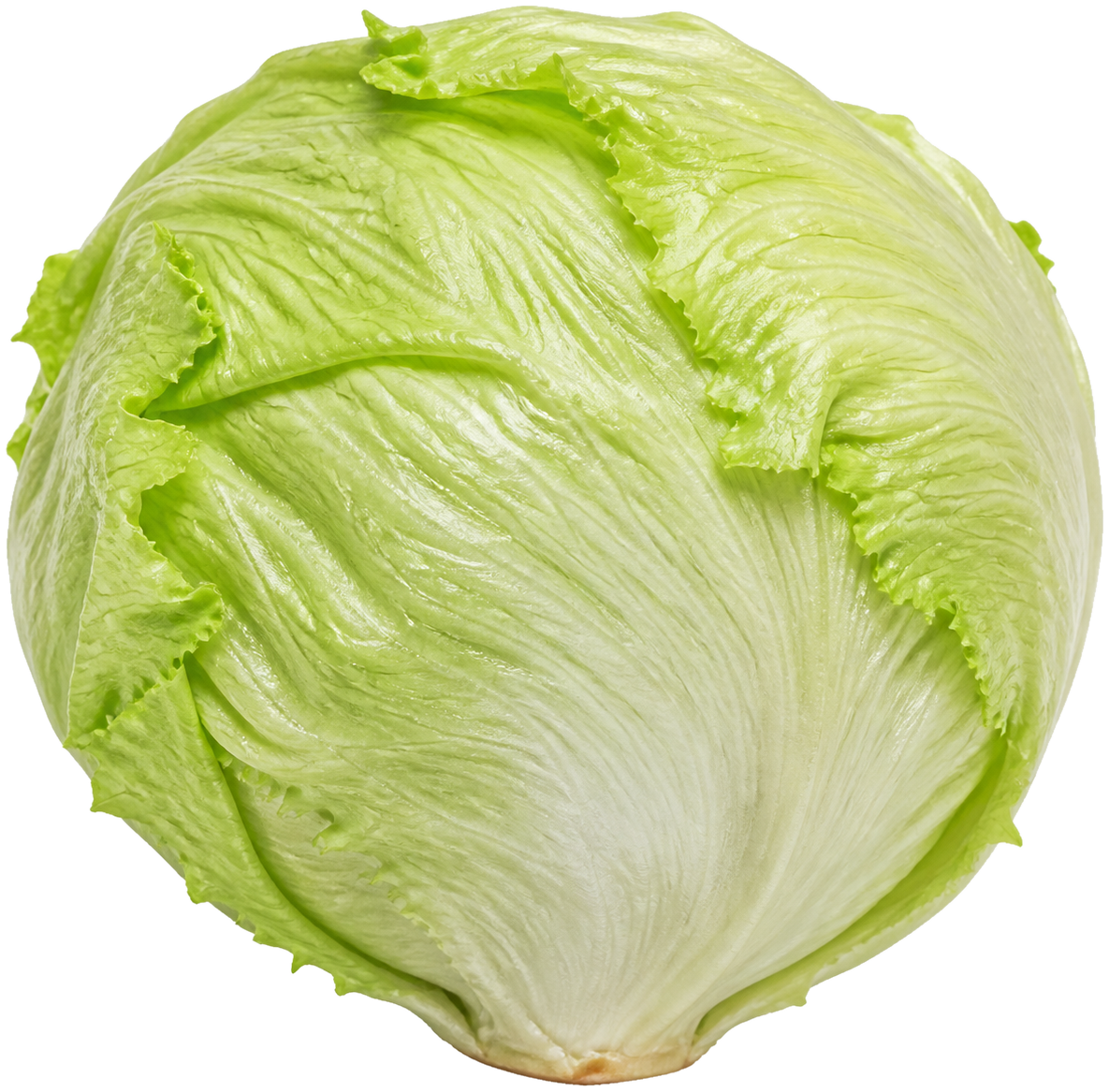 Iceberg lettuce can