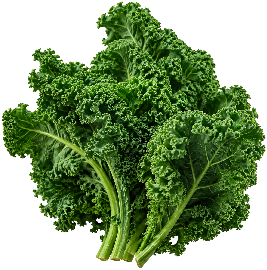 Kale can