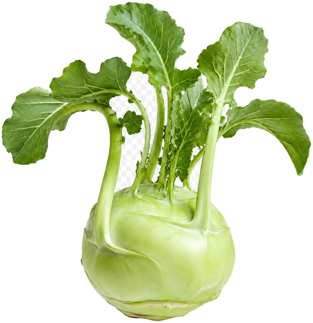 Kohlrabi