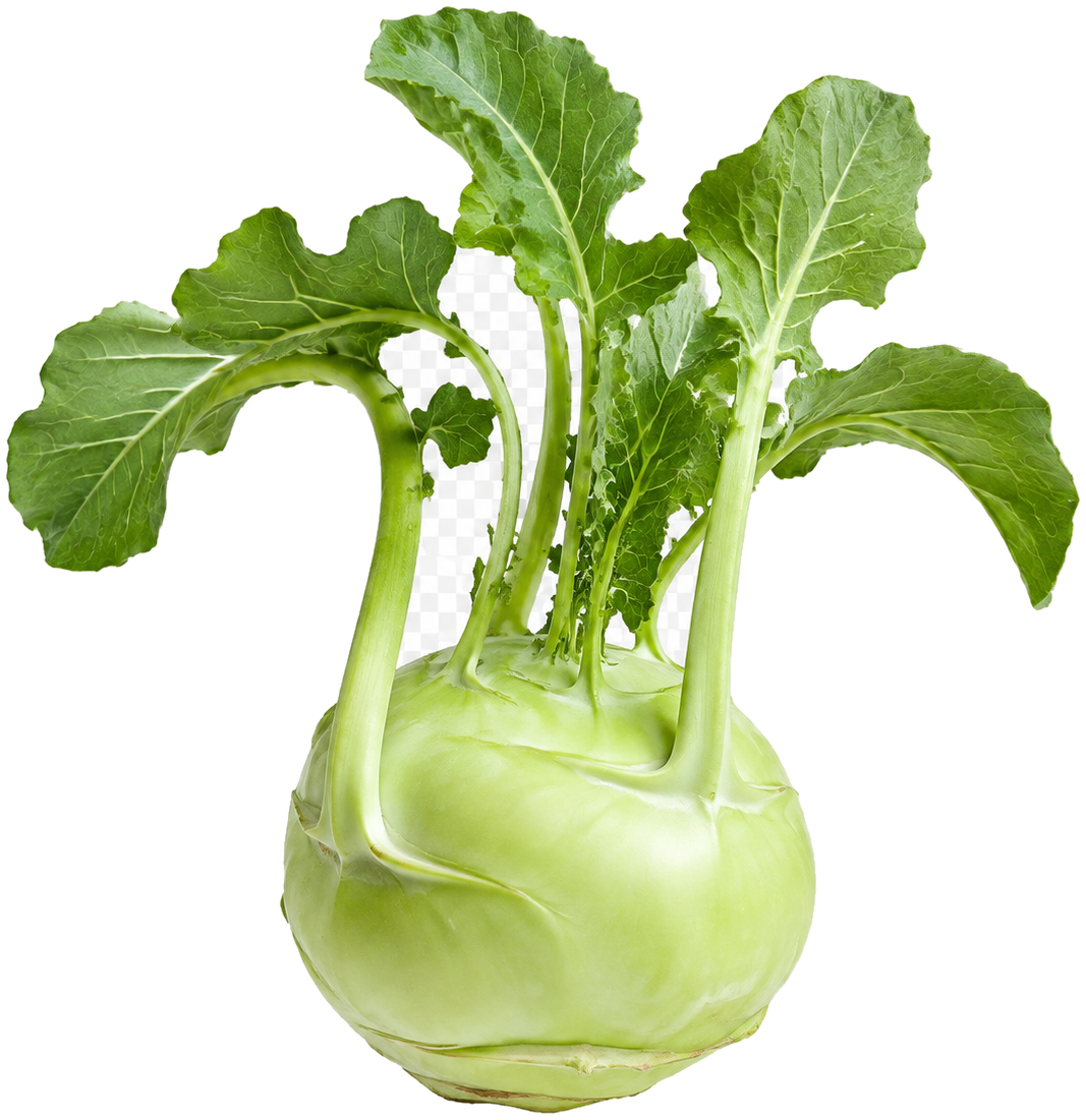 Kohlrabi can