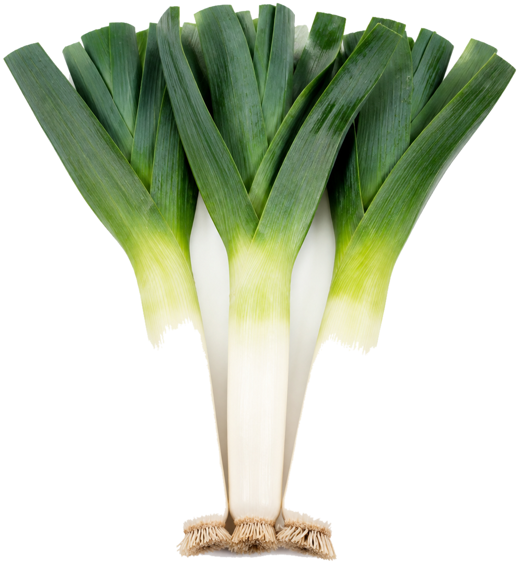 Leeks can