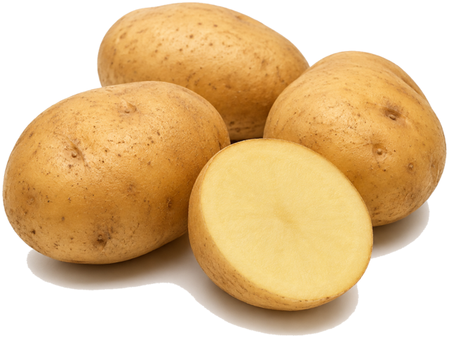 Potato