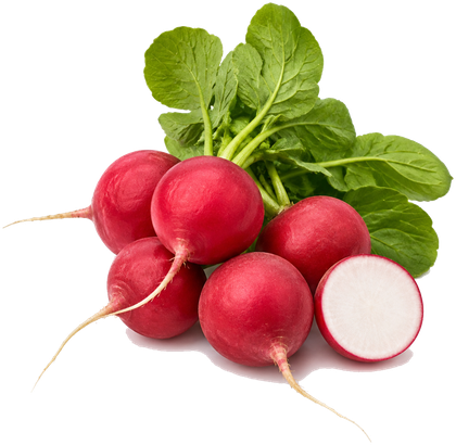 Radishes