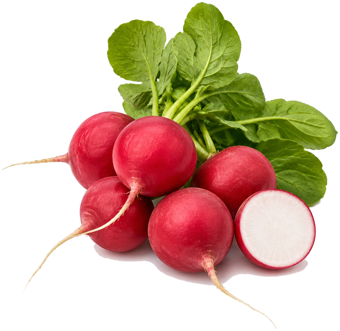 Radishes can