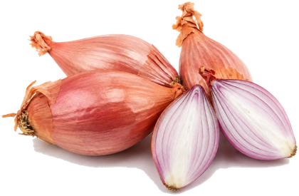 Shallots