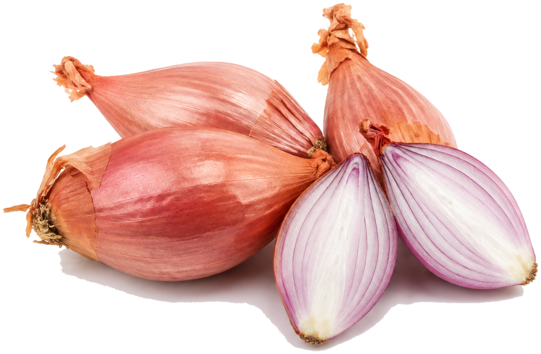 Shallots can