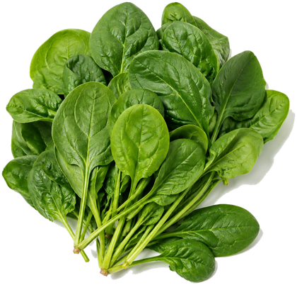 Spinach