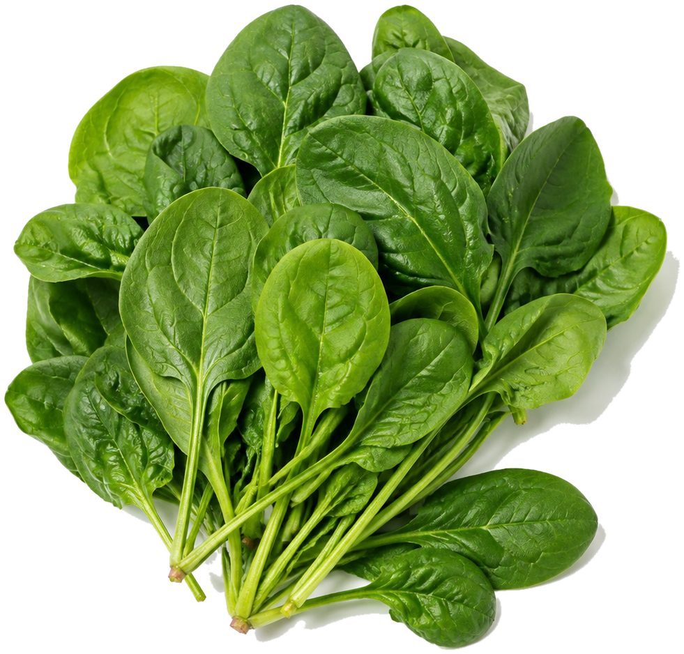 Spinach can