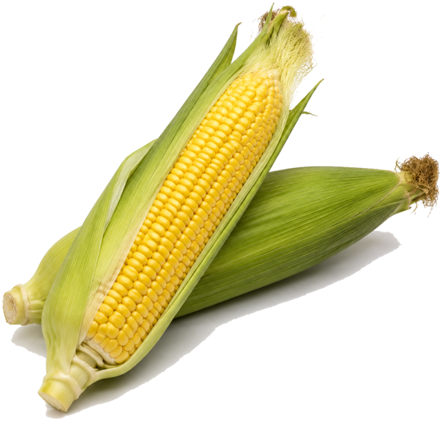 Sweet corn