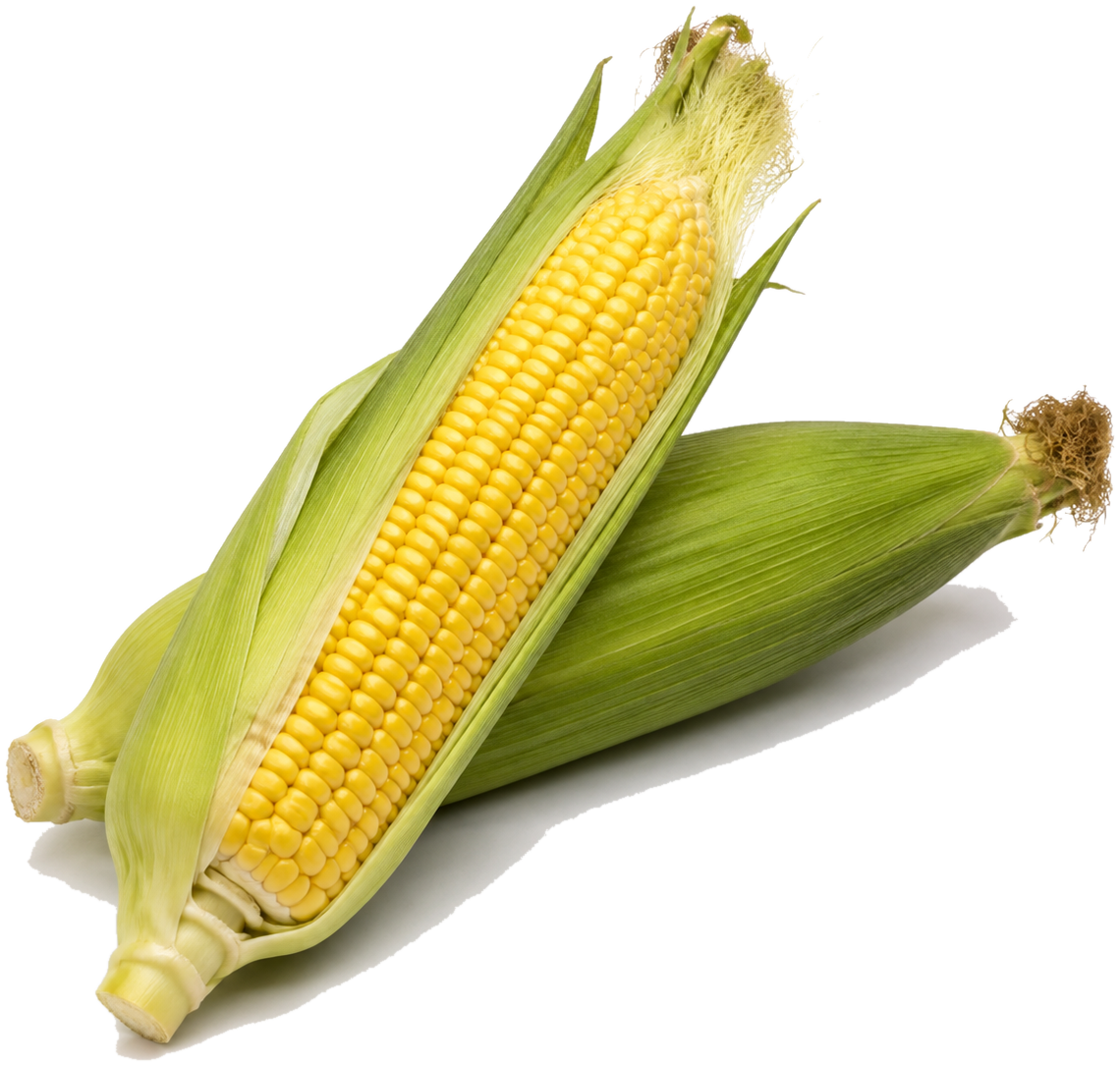 Sweet corn can