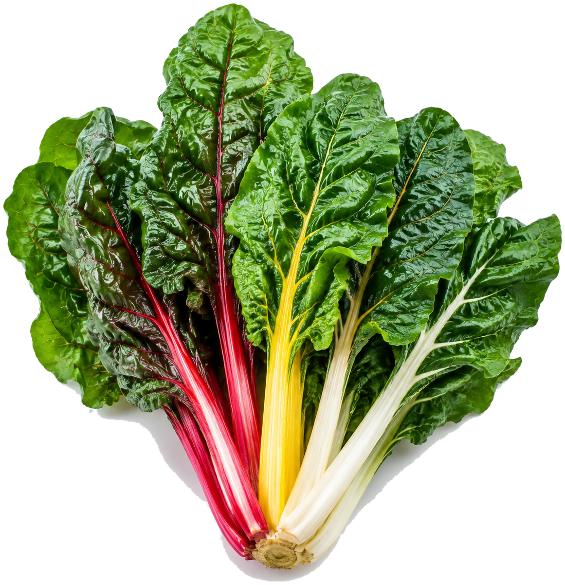 Swiss chard can