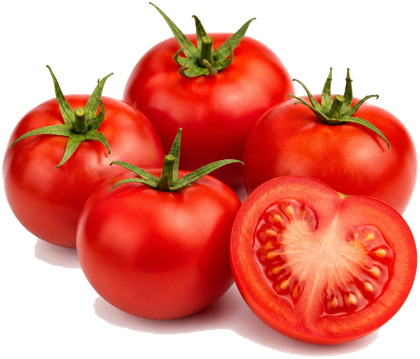 Tomato
