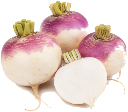 Turnip