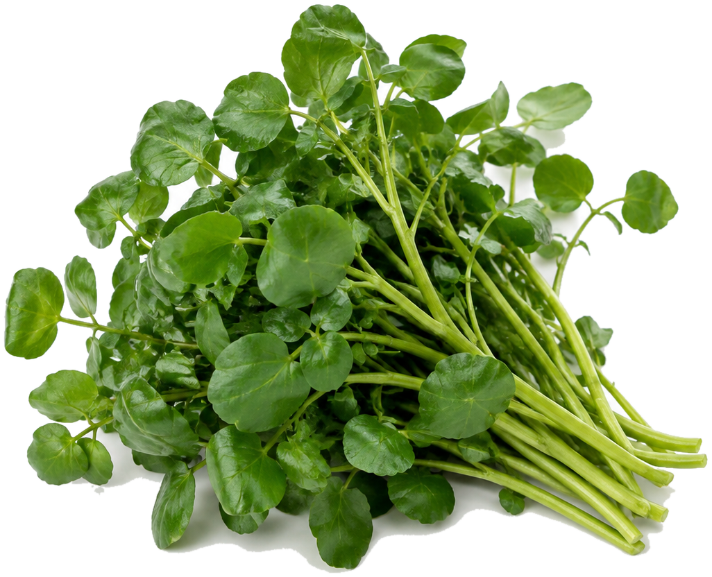 Watercress can