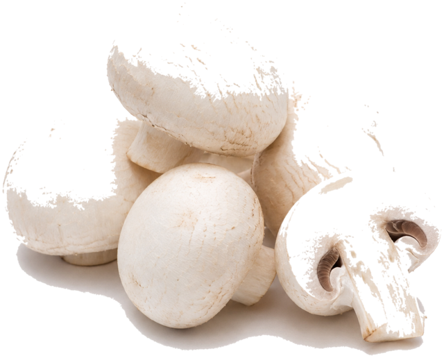 White mushrooms