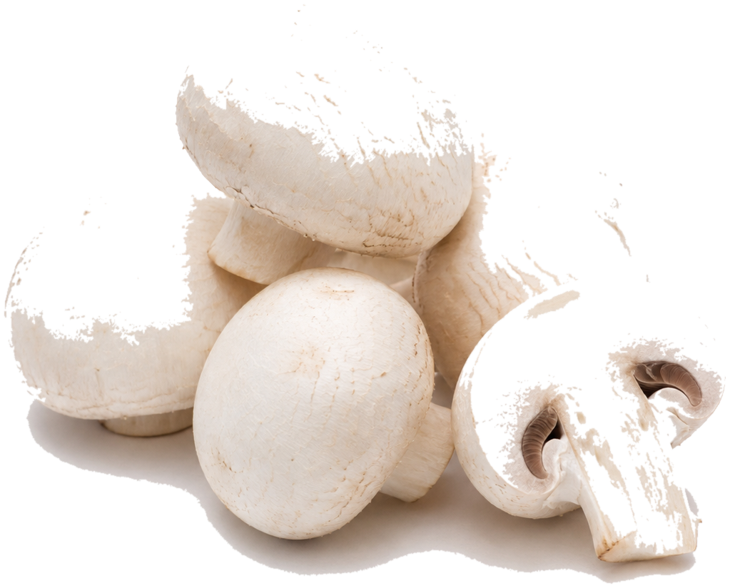 White mushrooms can